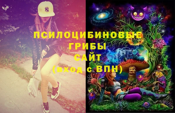 марихуана Белокуриха