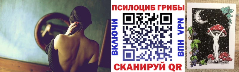 как найти закладки  darknet телеграм  Псилоцибиновые грибы ЛСД  Енисейск 